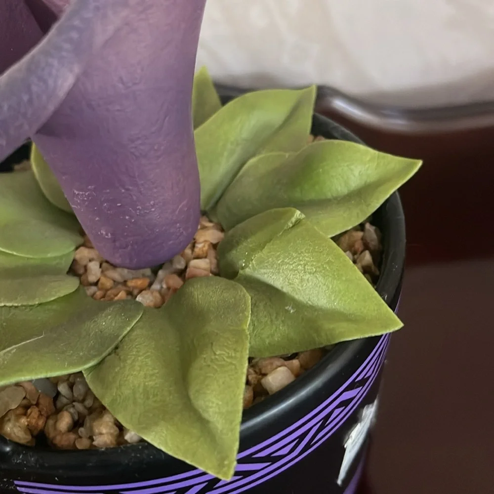 Purple Decorative Flower Pot from Disneyland